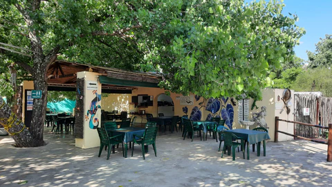 Gecko Coffee Shop