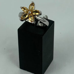 Citrine 5 Stones