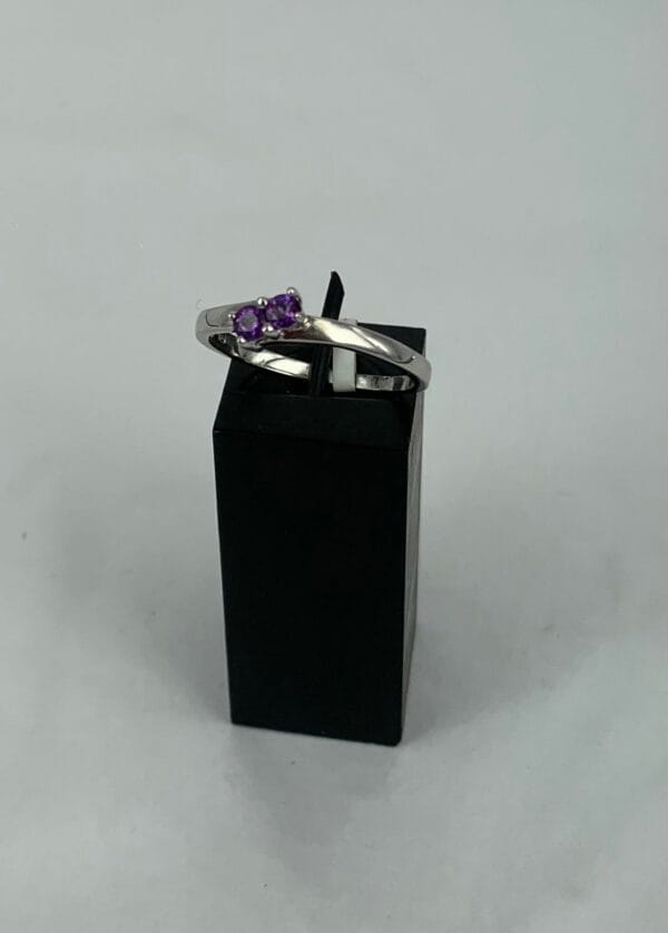 Amethyst 2 Stones