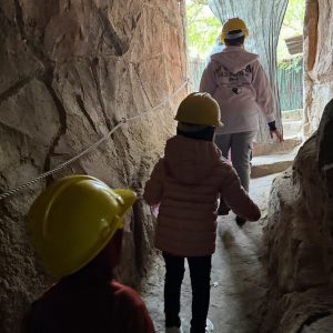 Gecko Jewellers & Mapatiza Mine in Midrand, Gauteng offers a unique local experience combining Africa’s largest gemstone showroom with guided underground mine tours, educational outings, and authentic African gemstones for families, schools, and visitors near Johannesburg.