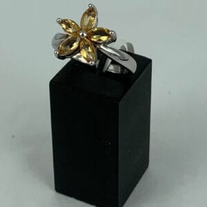 Citrine 5 Stones