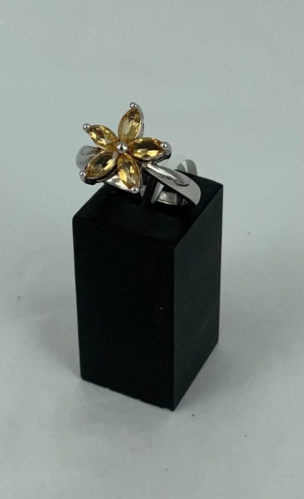 Citrine 5 Stones