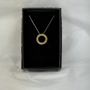 14 Stone Sapphire Circle of Life Necklace (Sterling Silver)