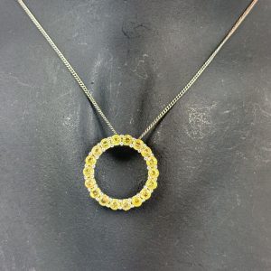 18 Stone Sapphire Circle of Life Necklace (Sterling Silver)